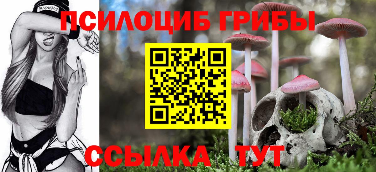 Псилоцибиновые грибы прущие грибы  Вход с VPN  Кудымкар 