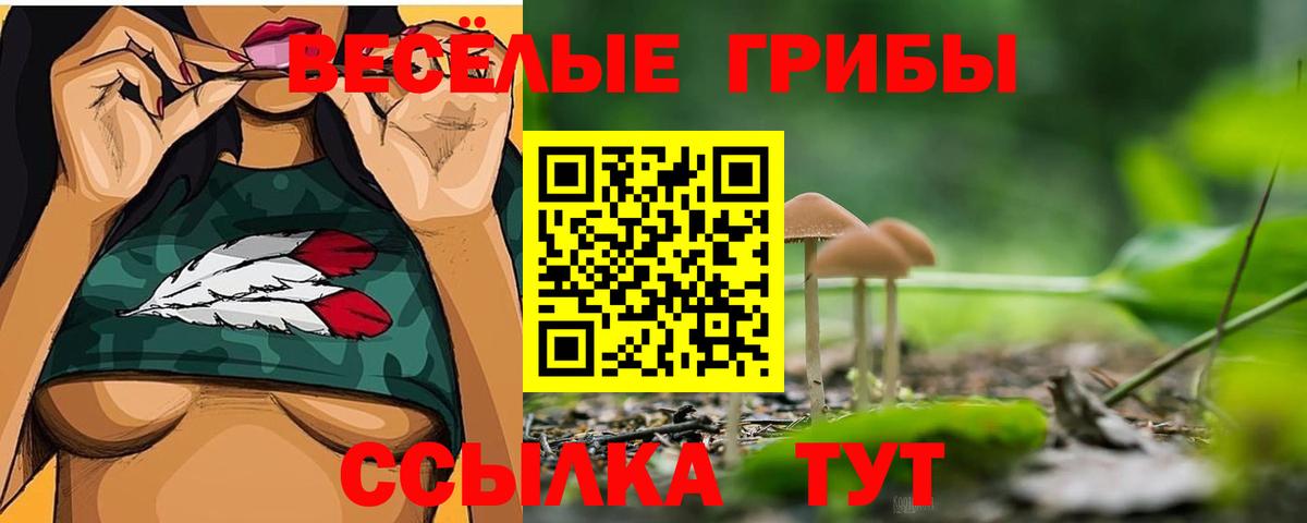 Галлюциногенные грибы Psilocybe Кудымкар
